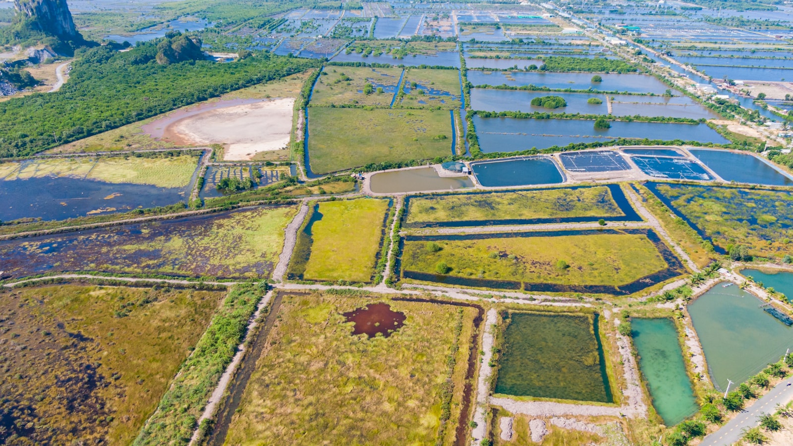 Cluster-scale pond systems · Integrated aquaculture