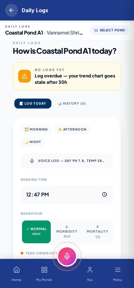 2-minute daily log