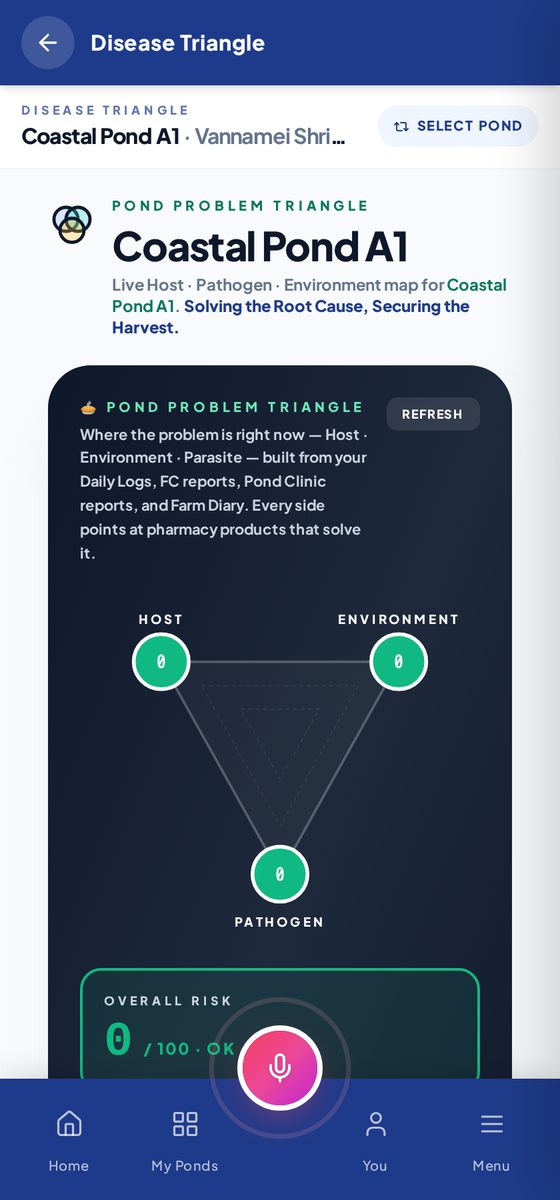 AI Disease Triangle