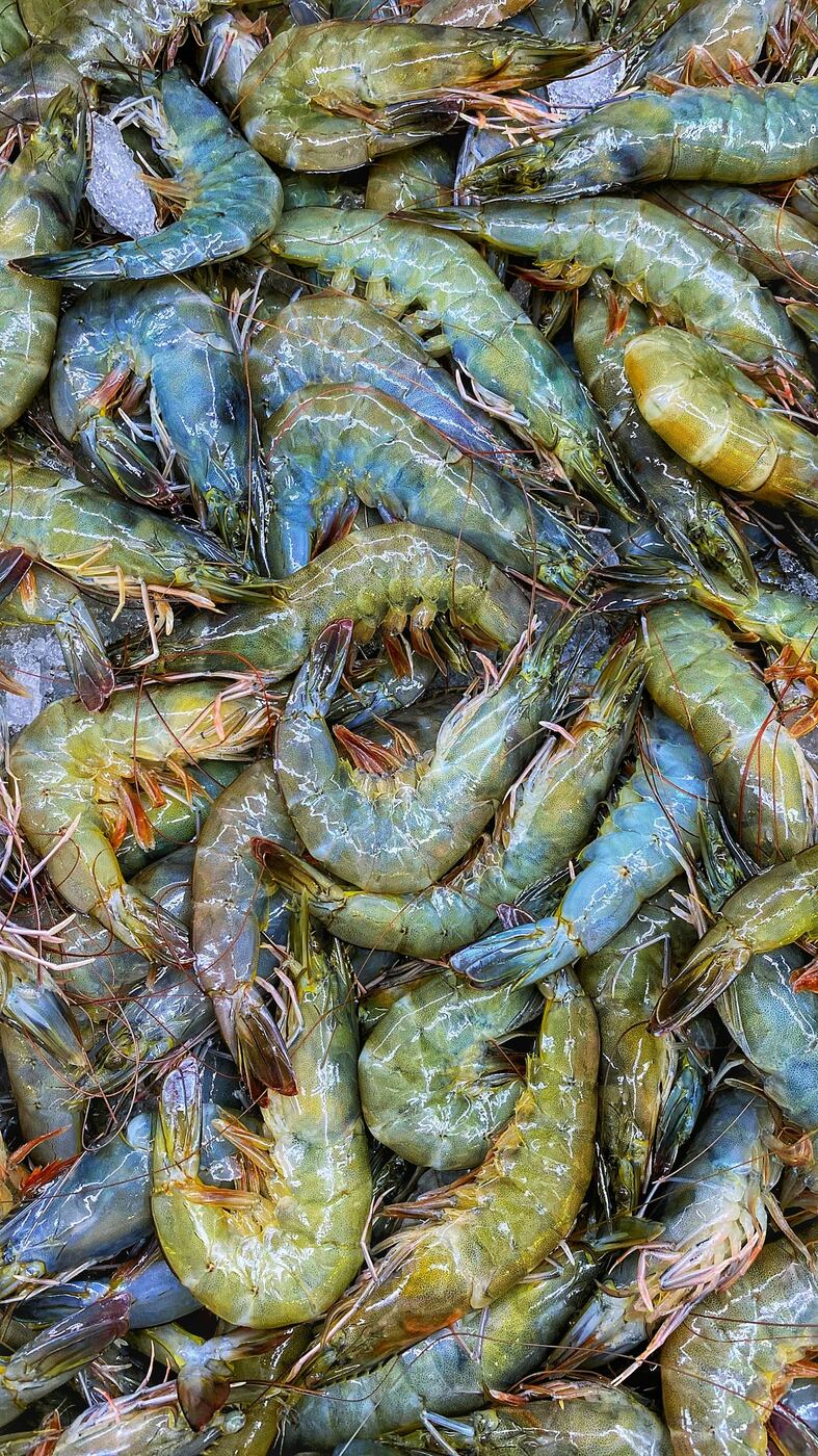 Fresh live farm harvest · Direct-to-buyer marketplace